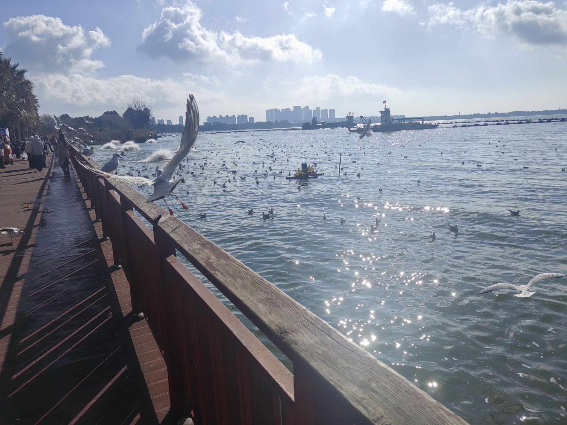 【昆明短记】“我寻找什么？寻找潇洒。”