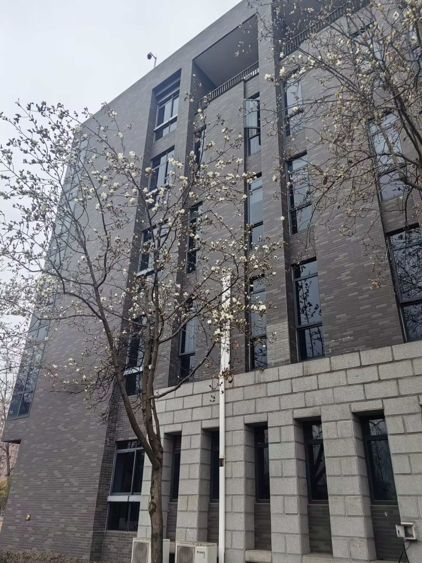 【立春】活着，总要干点什么，而不是因为要干点什么才活着